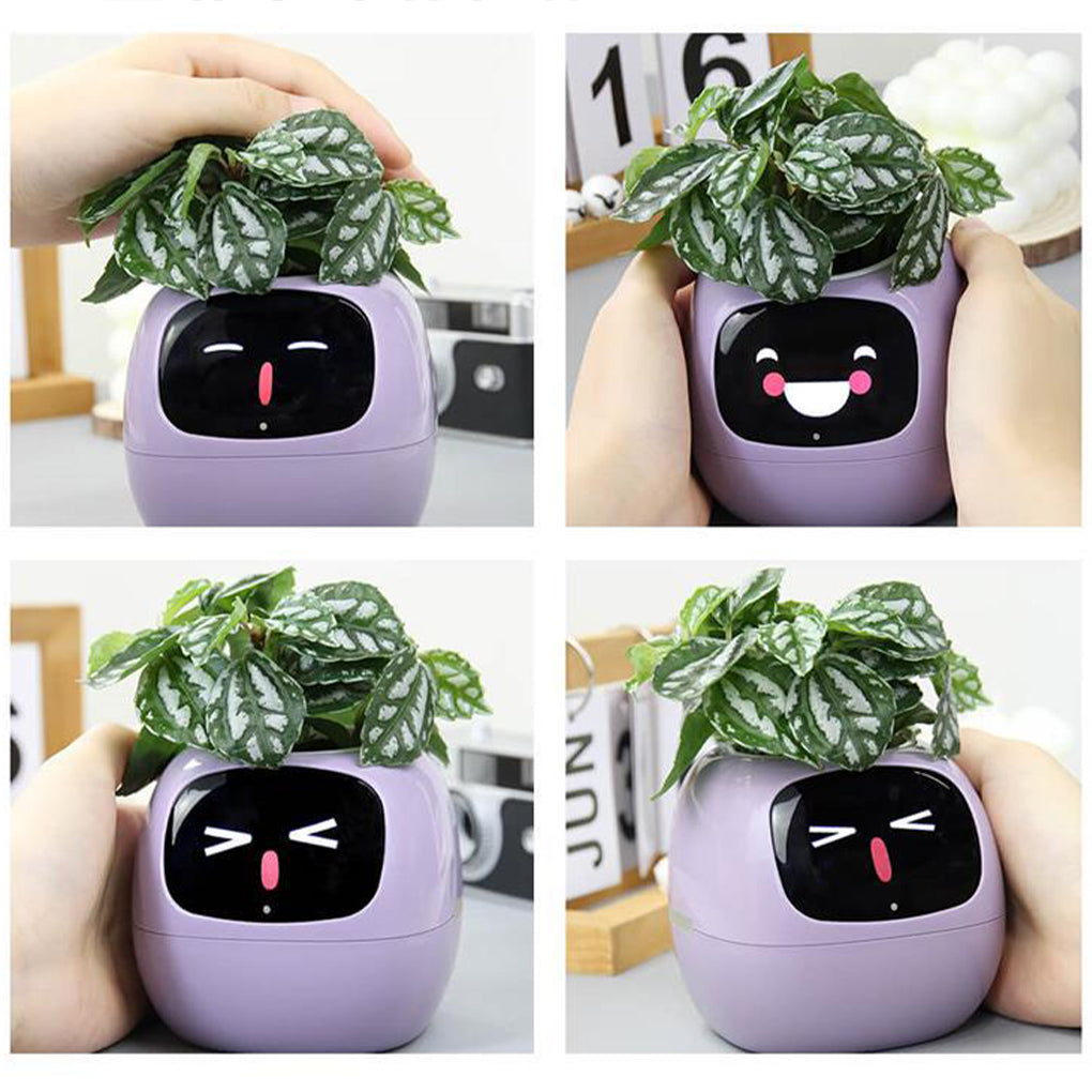 Ivy Plantita Vase