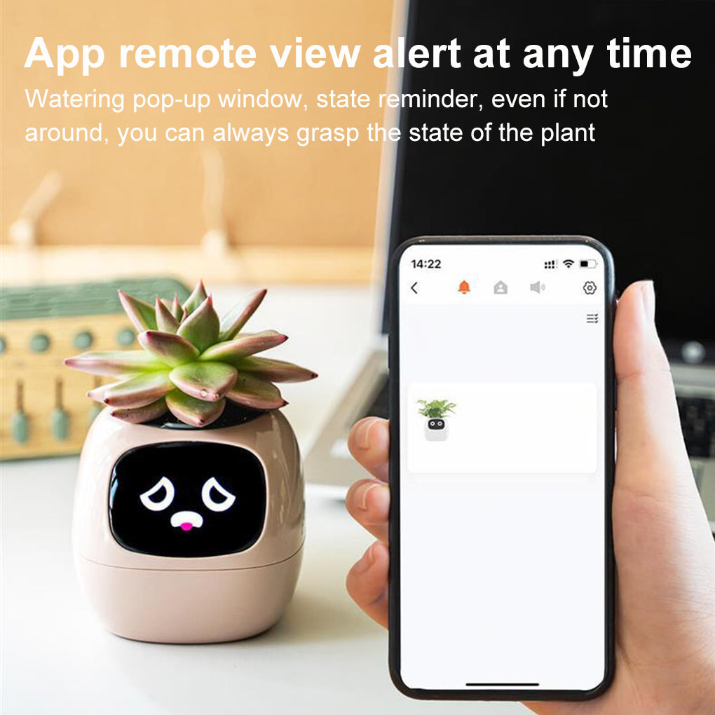 Ivy Plantita Vase