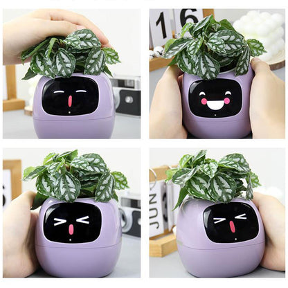 Ivy Plantita Vase
